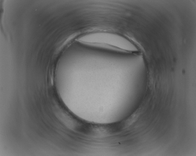 X0000081290062200702012254