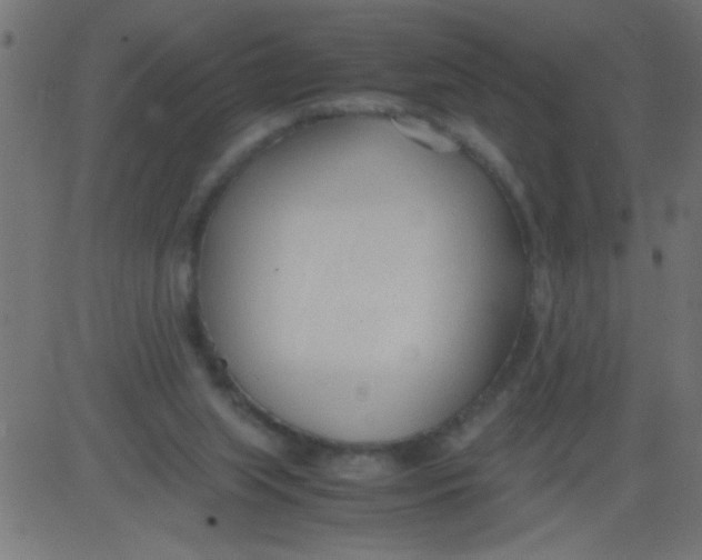 X0000081290063200702012254