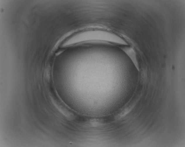 X0000081290064200702012254