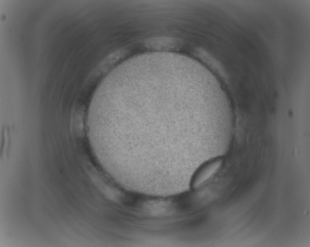 X0000081290065200702012254