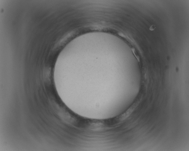 X0000081290066200702012254