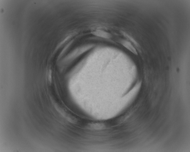 X0000081290067200702012254