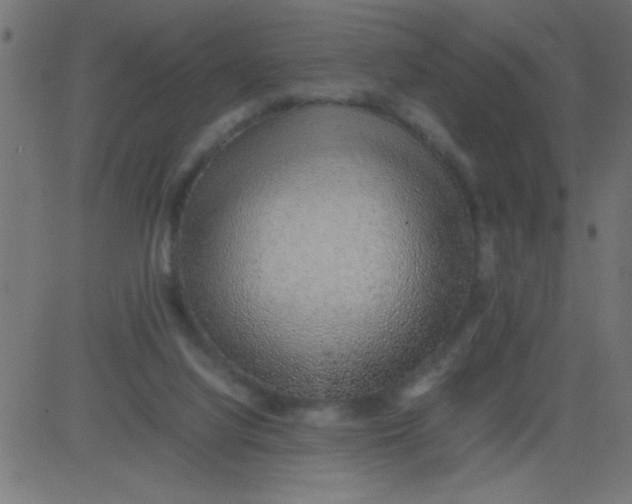 X0000081290068200702012254