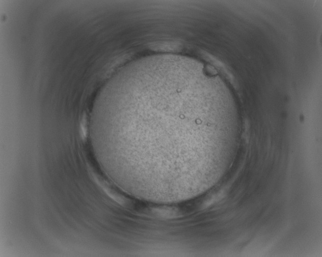 X0000081290069200702012254