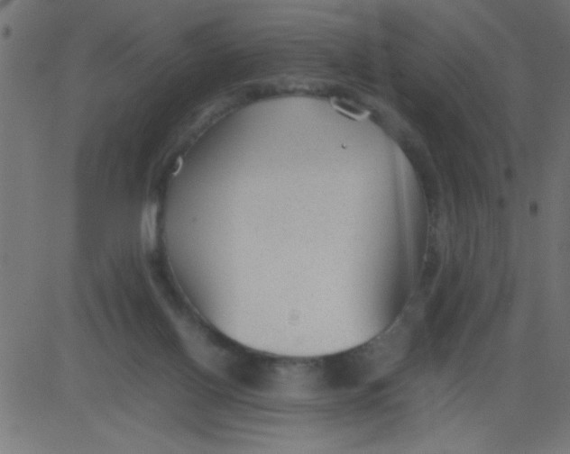 X0000081290070200702012255