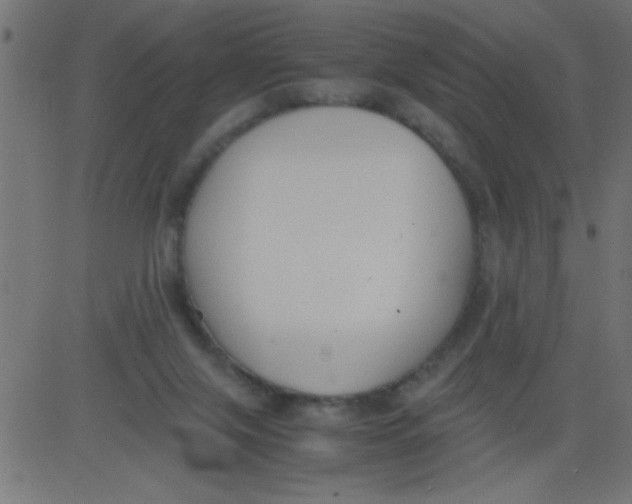 X0000081290071200702012255