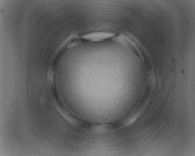 X0000081290072200702012255