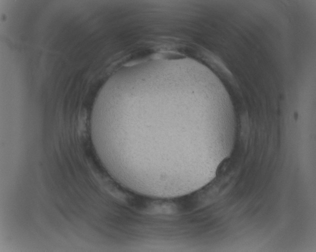 X0000081290073200702012255