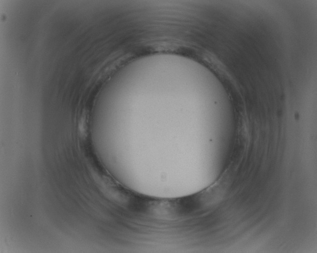 X0000081290074200702012255