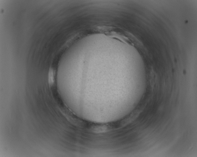 X0000081290075200702012255