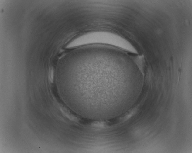 X0000081290076200702012255