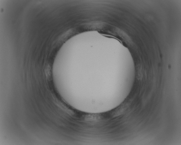 X0000081290077200702012255