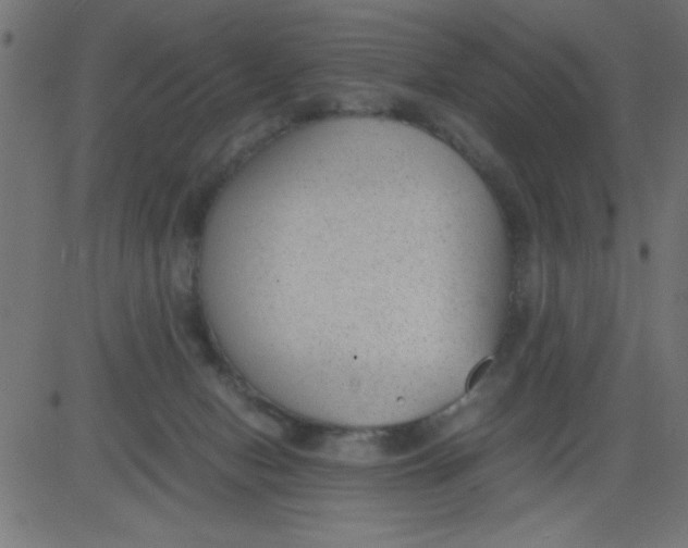 X0000081290078200702012255