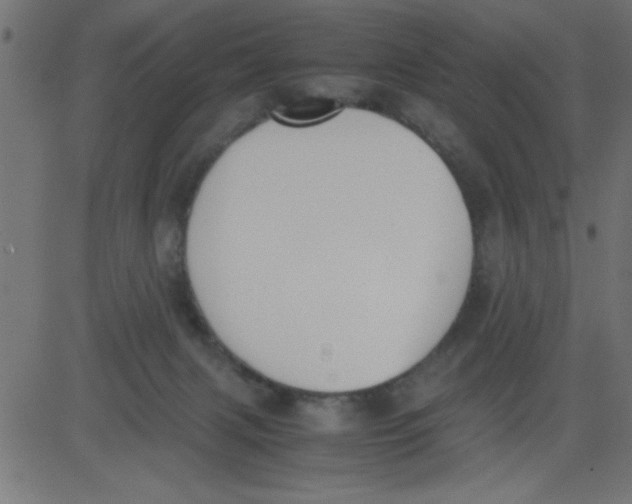 X0000081290079200702012255