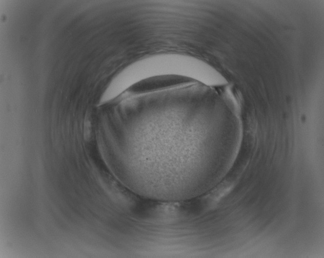 X0000081290080200702012255