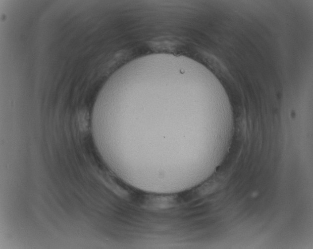 X0000081290081200702012255