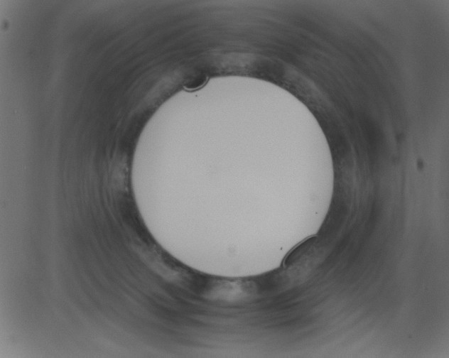 X0000081290083200702012255