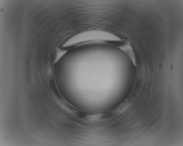 X0000081290084200702012255