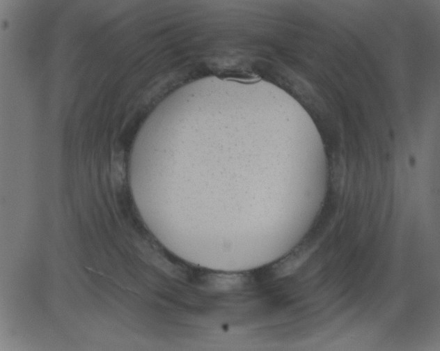 X0000081290085200702012255