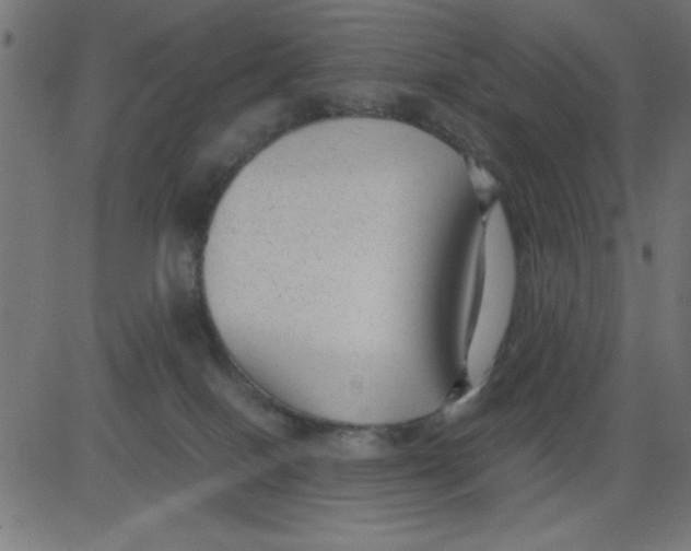 X0000081290086200702012255