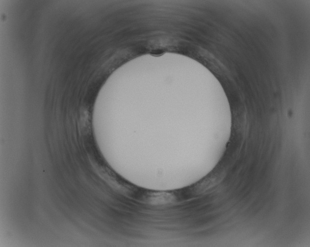 X0000081290087200702012255