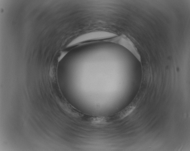 X0000081290088200702012255