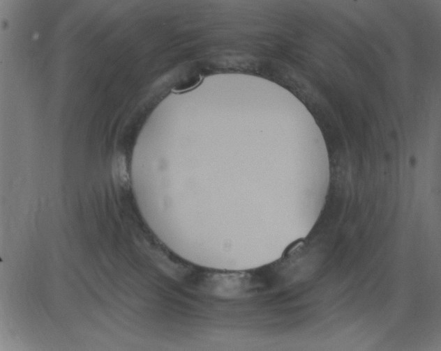 X0000081290089200702012255