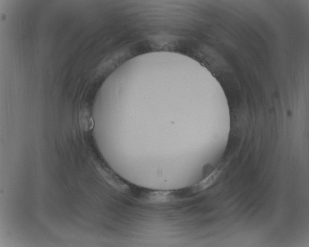 X0000081290090200702012255