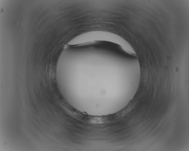 X0000081290091200702012255