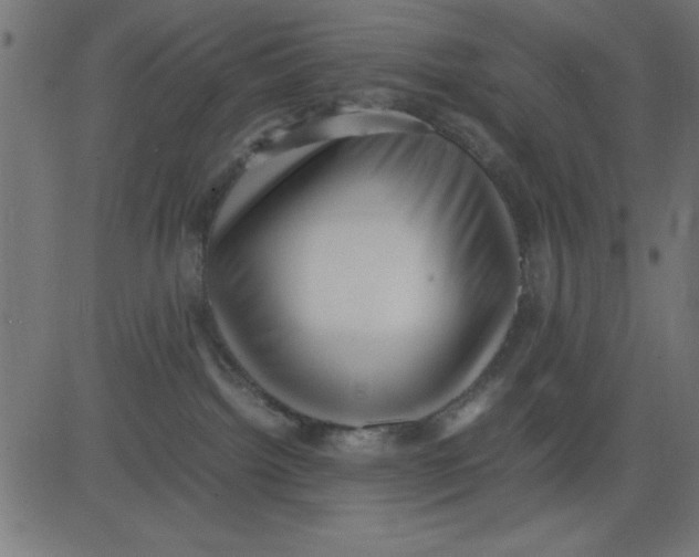 X0000081290092200702012255