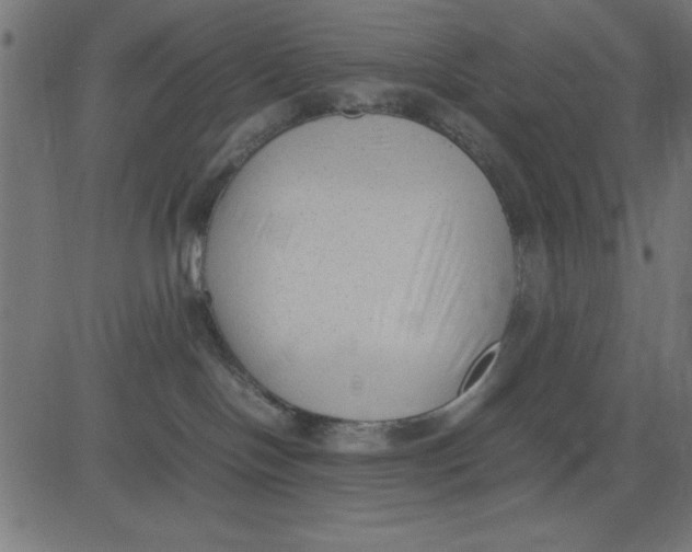 X0000081290094200702012255