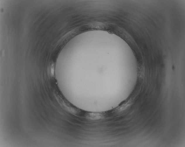 X0000081290095200702012255