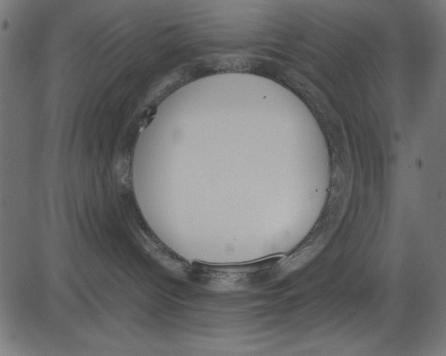 X0000081290096200702012255