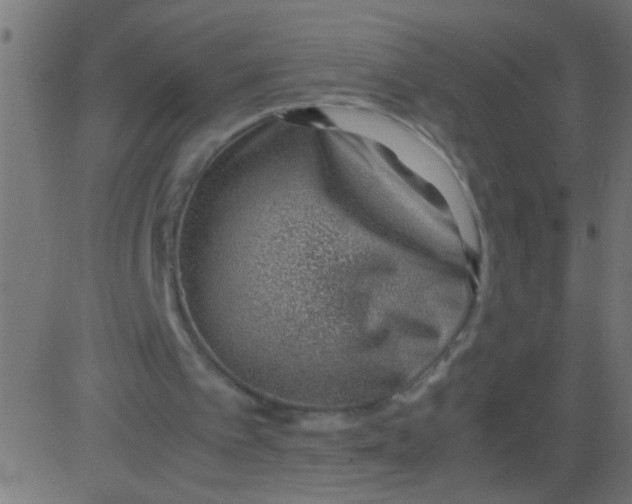 X0000081290097200702012254