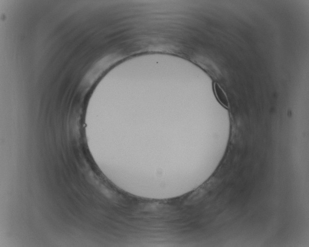 X0000081290098200702012254