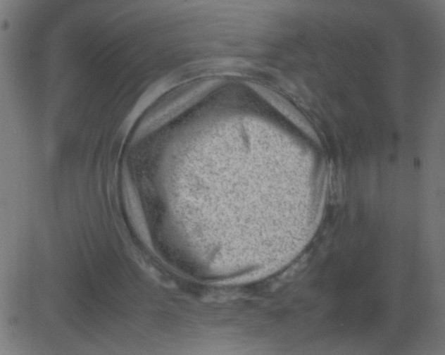 X0000081290099200702012254