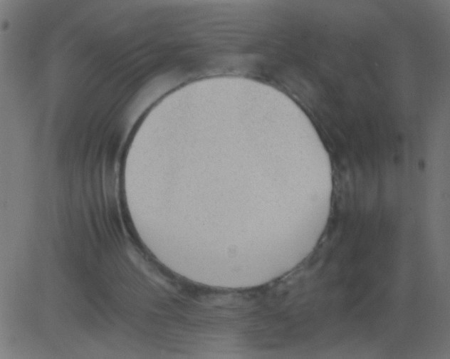 X0000081290100200702012254