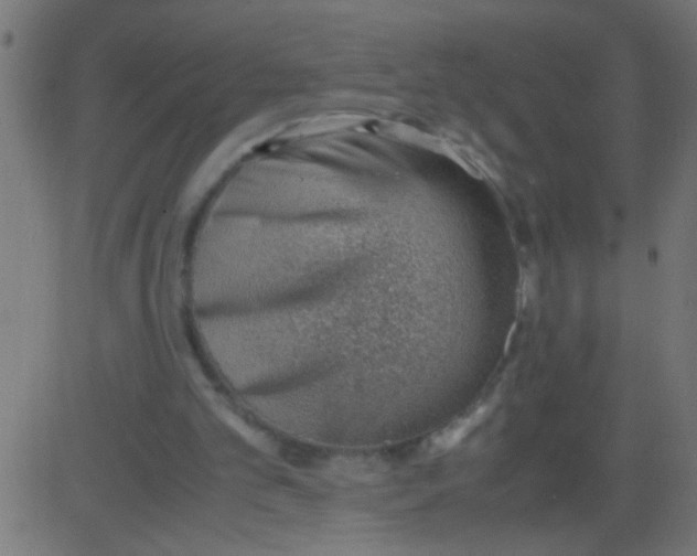 X0000081290101200702012254