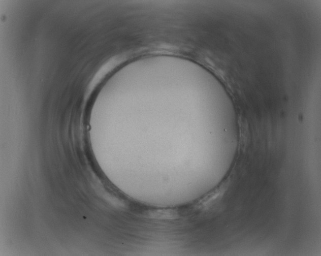 X0000081290102200702012254