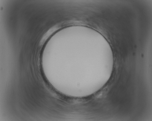 X0000081290103200702012254