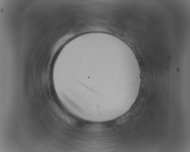 X0000081290104200702012254