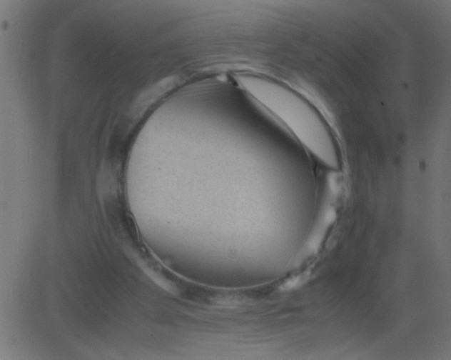 X0000081290105200702012254