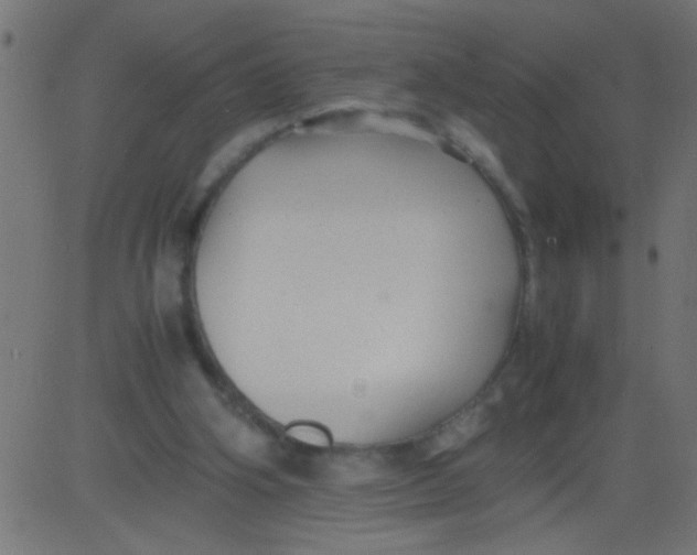 X0000081290106200702012254