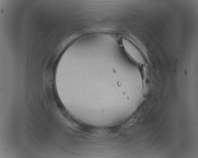 X0000081290107200702012254