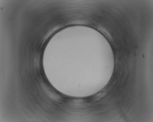 X0000081290108200702012254