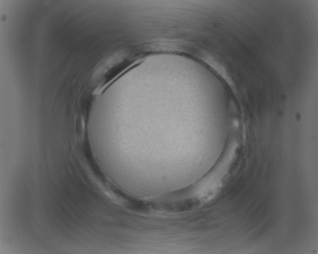 X0000081290109200702012254