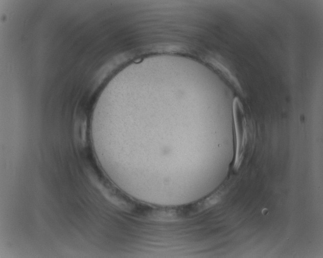 X0000081290110200702012254