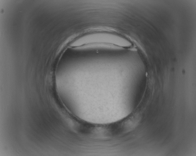 X0000081290111200702012254