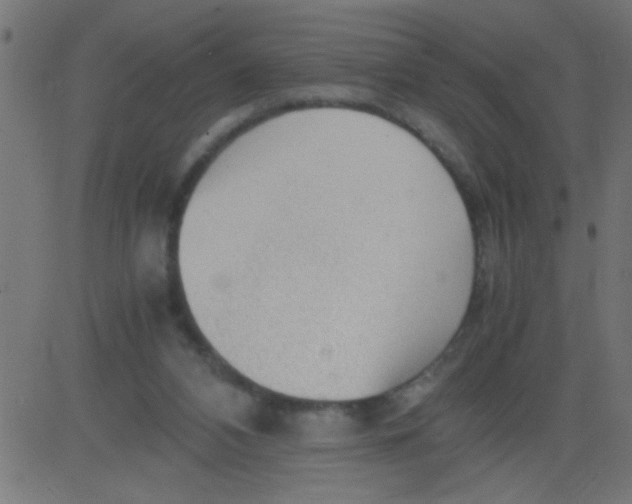 X0000081290112200702012254