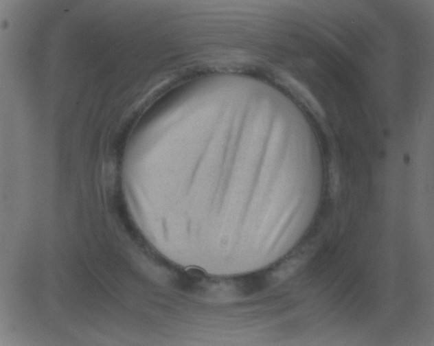 X0000081290113200702012254